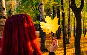 Woman with cherry red hair in a forest in autumn